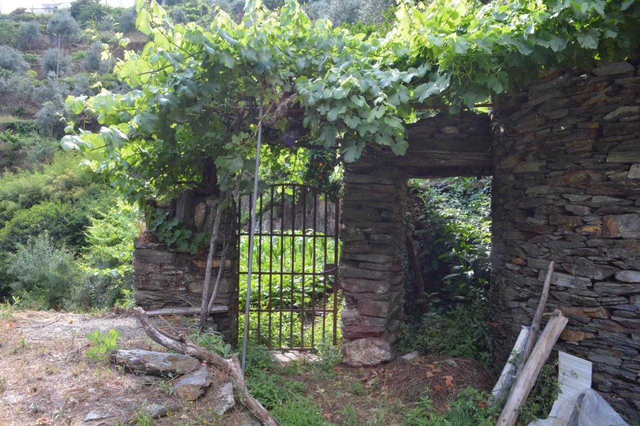 Casal do Rei  Casa Do Azereiro 빌라 외부 사진