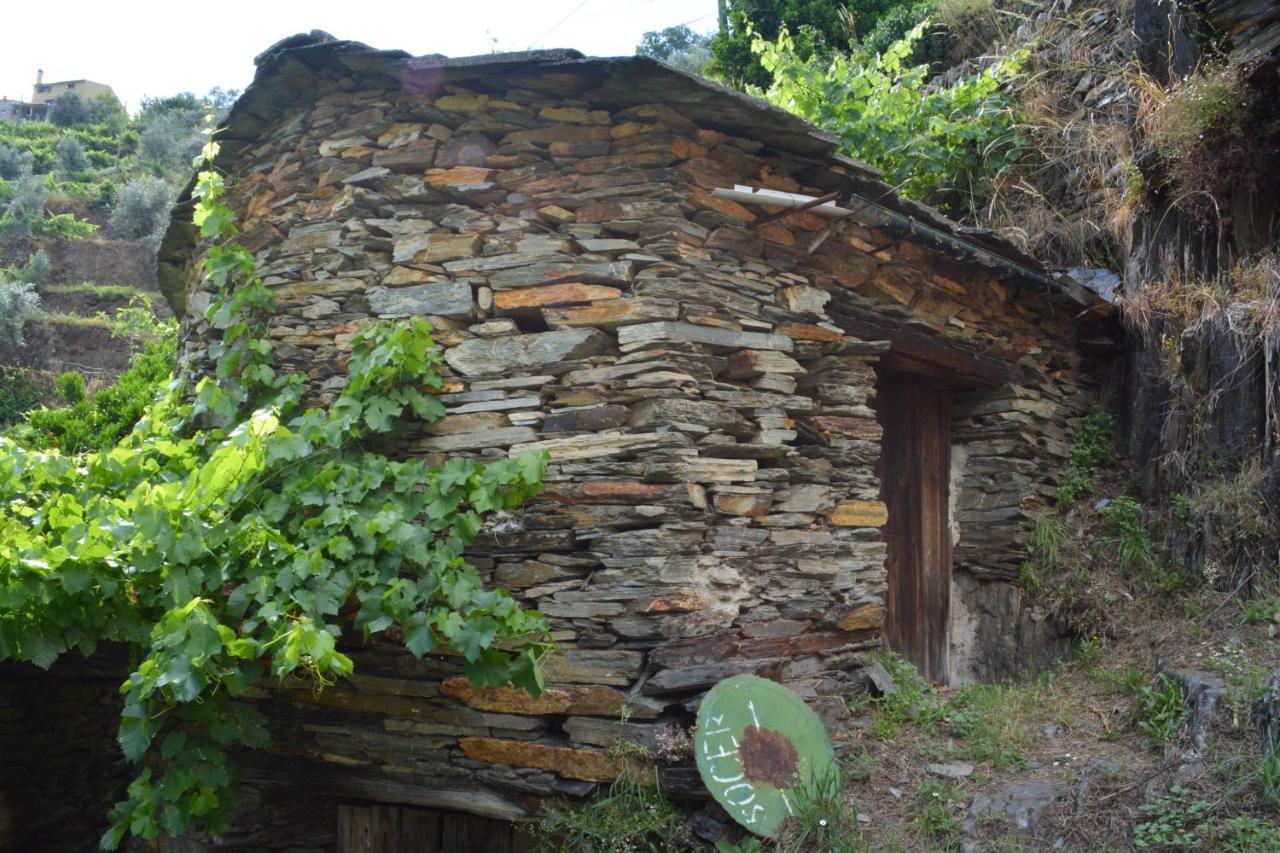 Casal do Rei  Casa Do Azereiro 빌라 외부 사진